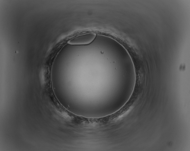 X0000096701494200802051358