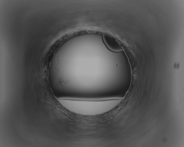 X0000096701495200802051358