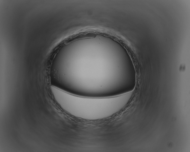 X0000096701496200802051358