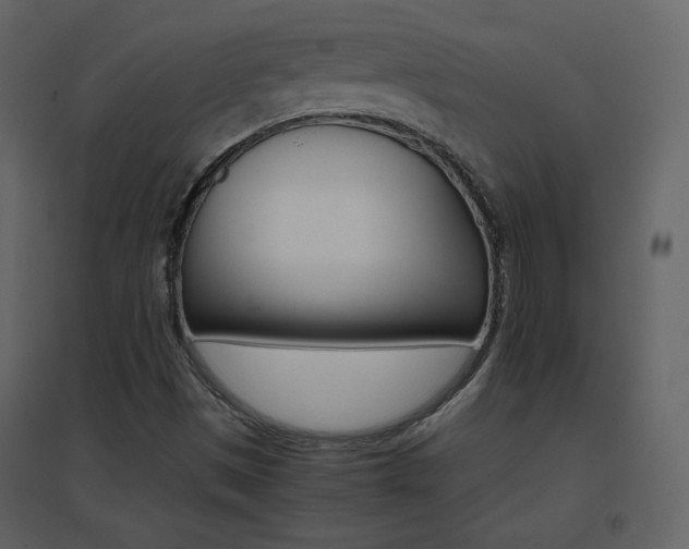 X0000096701497200802051358