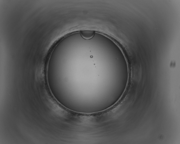 X0000096701498200802051358
