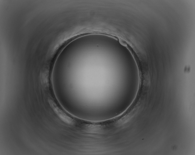 X0000096701499200802051358