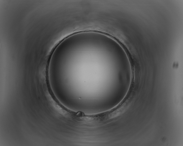 X0000096701500200802051358