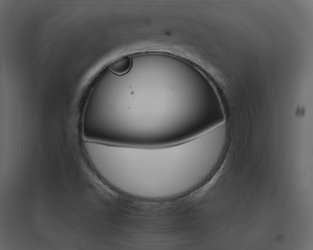 X0000096701502200802051358