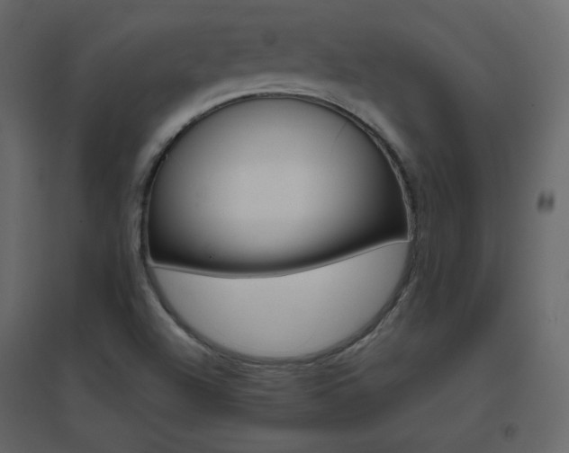 X0000096701504200802051358