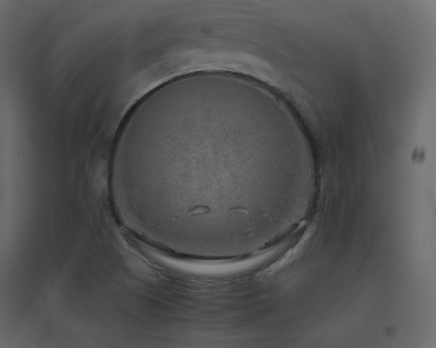X0000096701505200802051358