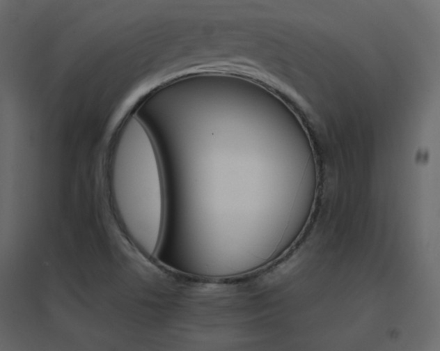 X0000096701506200802051358