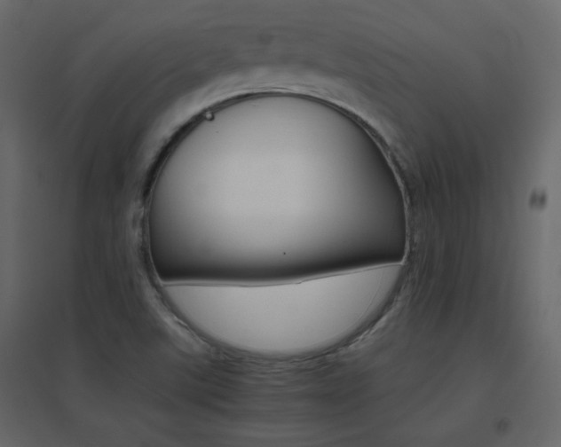 X0000096701507200802051358