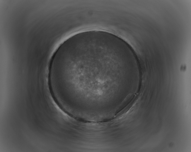 X0000096701508200802051358