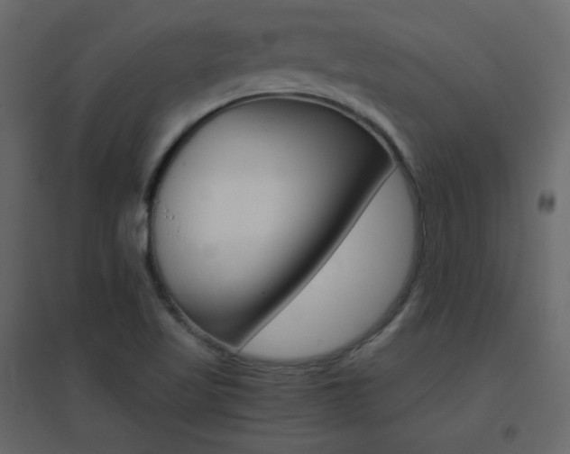 X0000096701509200802051358