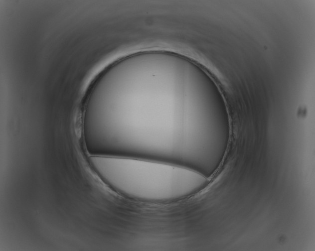 X0000096701510200802051358
