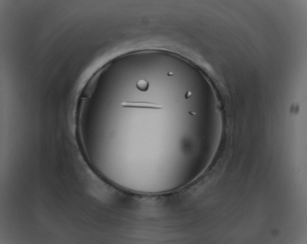 X0000096701512200802051358