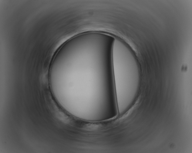 X0000096701513200802051358
