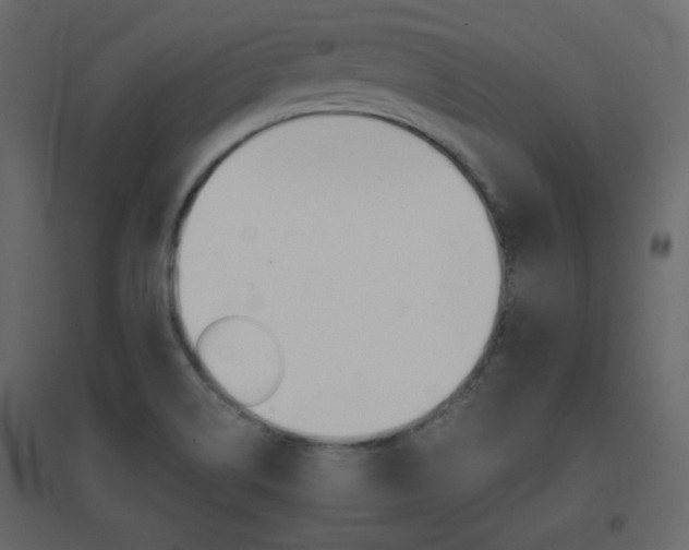 X0000096701514200802051358