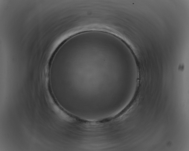 X0000096701515200802051358