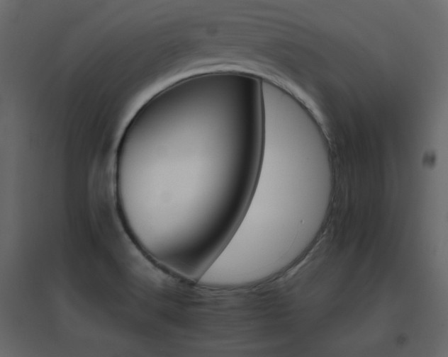 X0000096701516200802051358