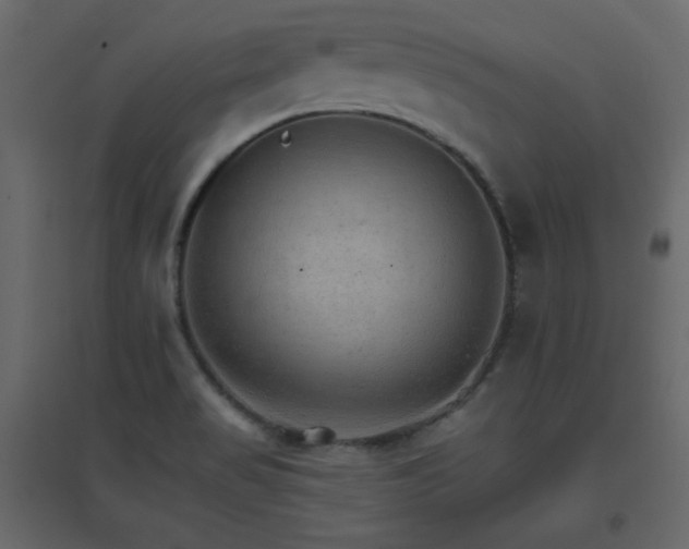 X0000096701517200802051358
