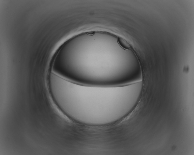X0000096701518200802051358
