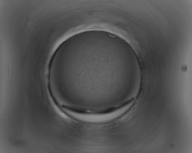 X0000096701519200802051358