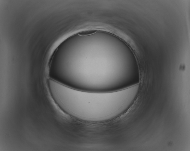 X0000096701520200802051358