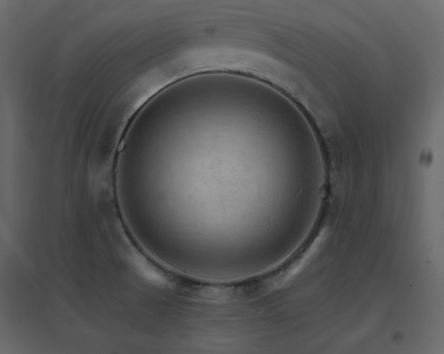 X0000096701521200802051358