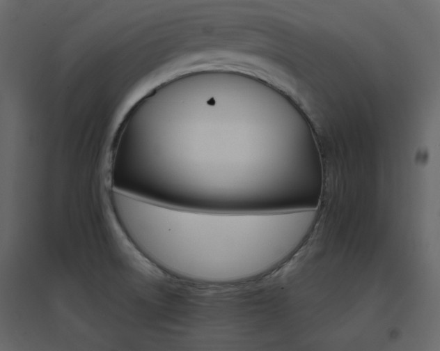 X0000096701522200802051358