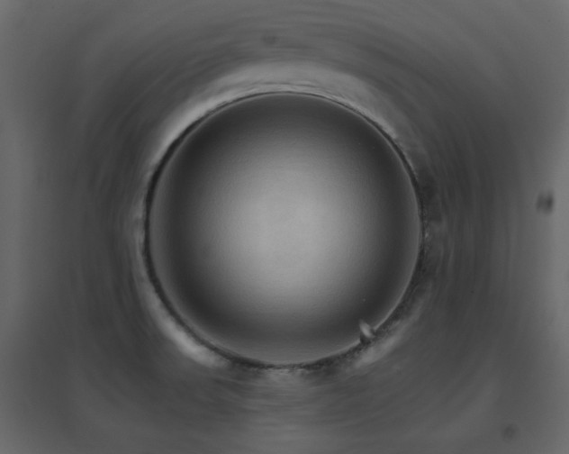 X0000096701523200802051358