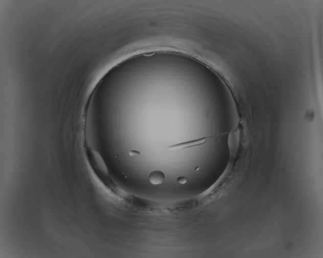 X0000096701524200802051358