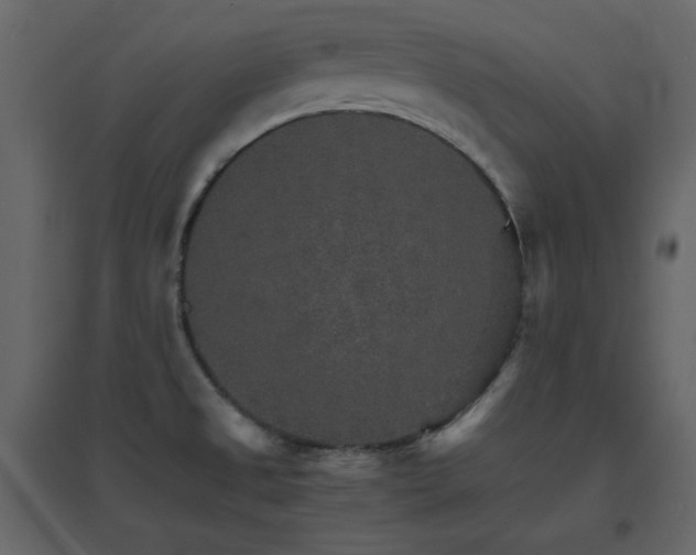 X0000096701525200802051359