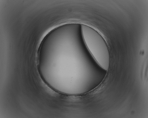 X0000096701527200802051359