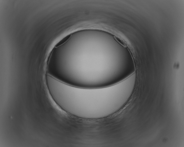 X0000096701528200802051359
