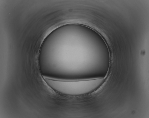 X0000096701529200802051359