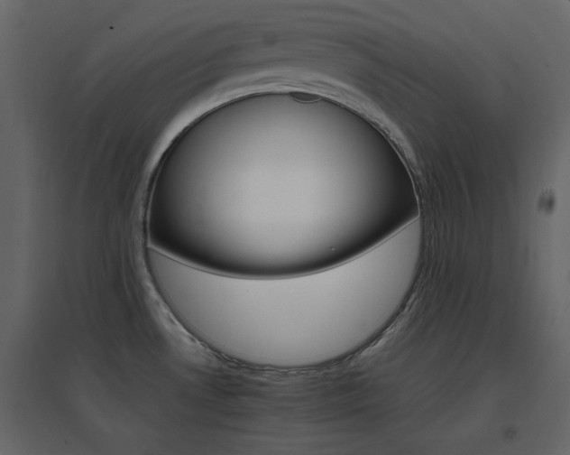 X0000096701530200802051359