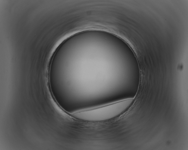 X0000096701531200802051359