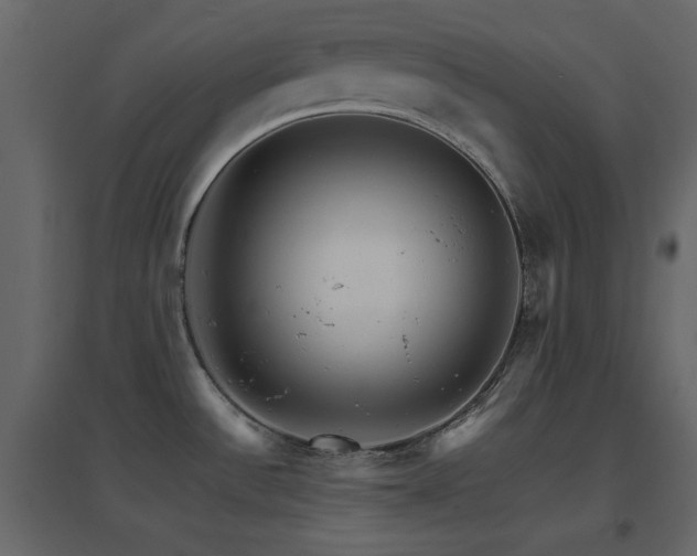 X0000096701532200802051359