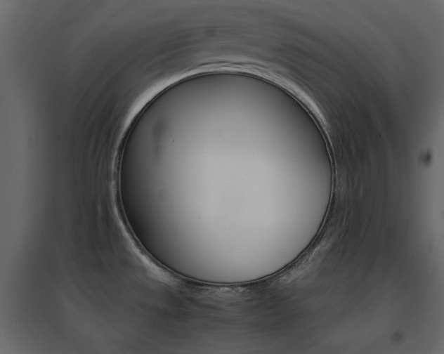 X0000096701533200802051359
