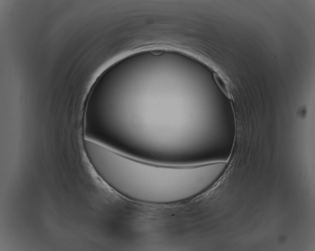 X0000096701534200802051359