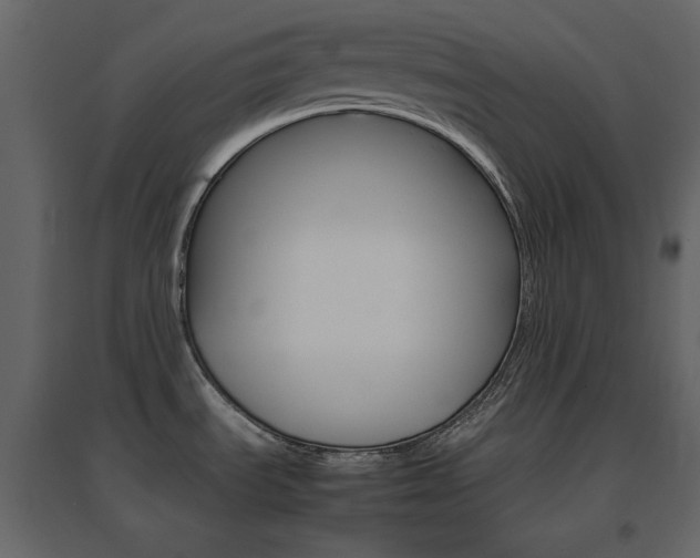 X0000096701535200802051359