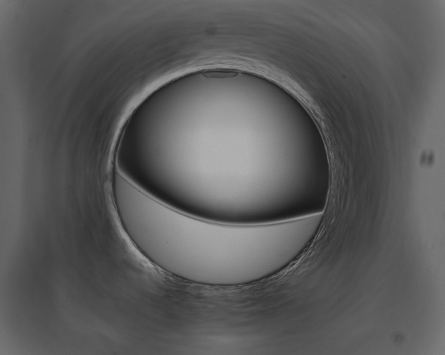 X0000096701536200802051359