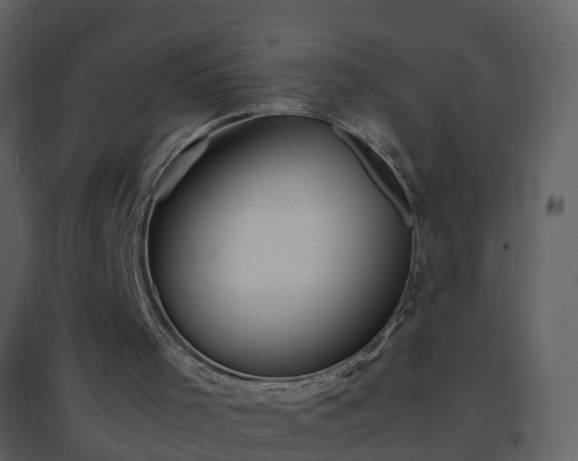 X0000096700001200802121213