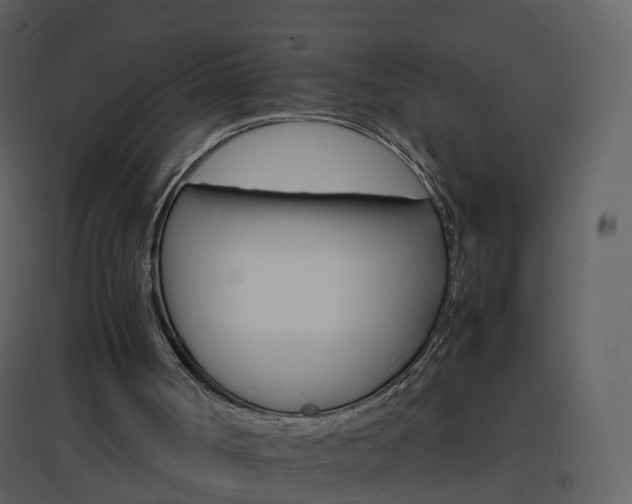 X0000096700002200802121213