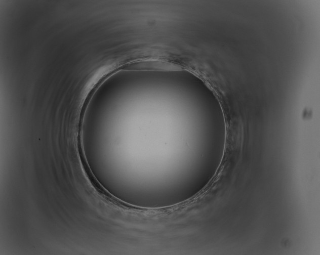 X0000096700003200802121213