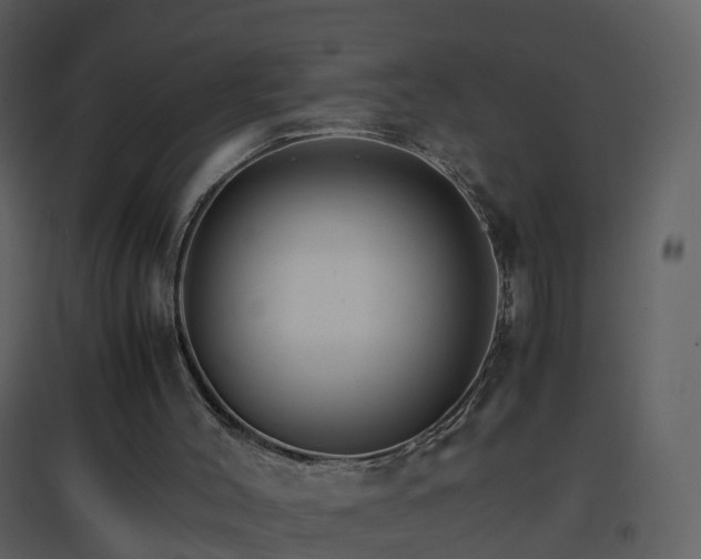 X0000096700004200802121213