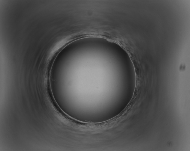 X0000096700005200802121213