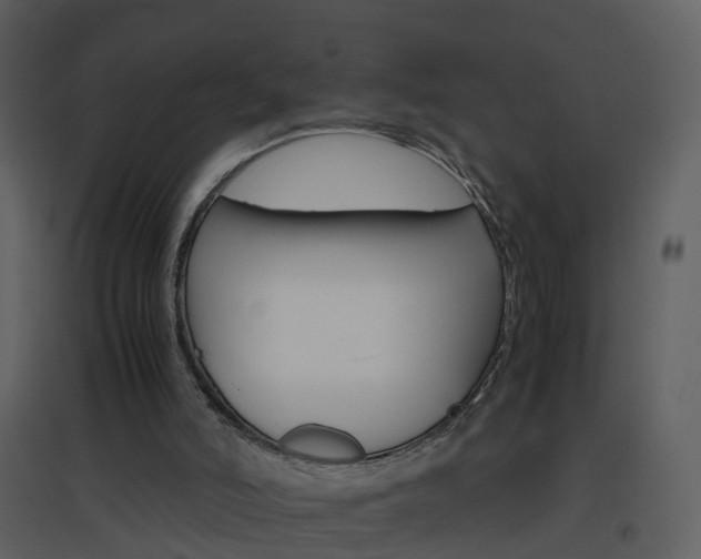 X0000096700006200802121213