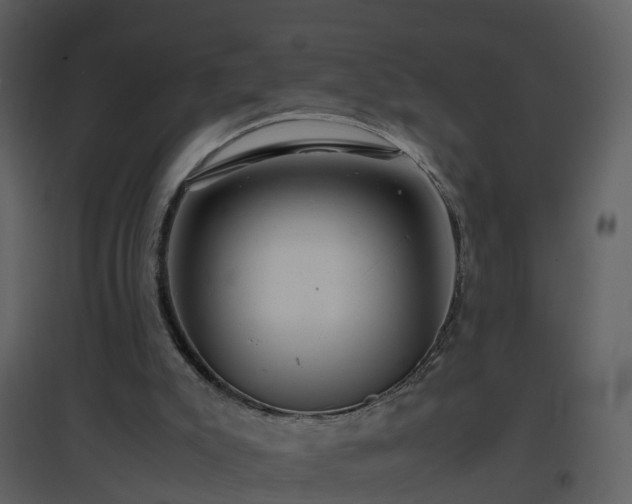 X0000096700007200802121213