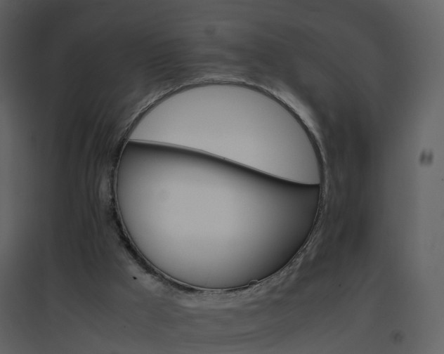 X0000096700009200802121213