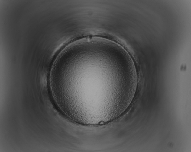 X0000096700010200802121213