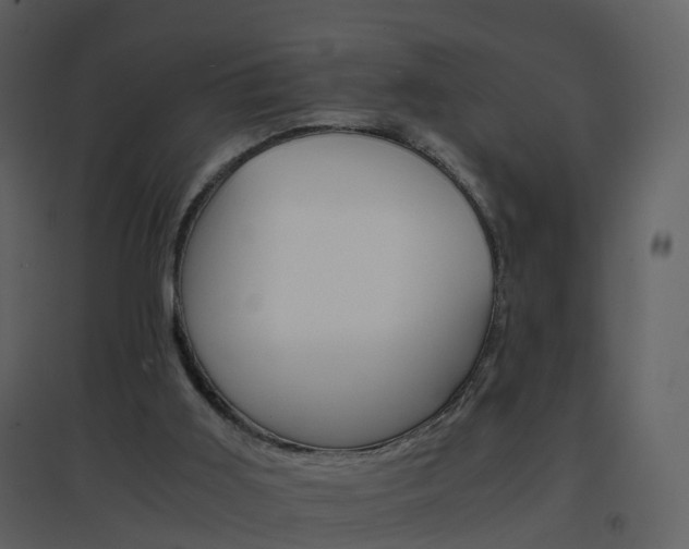 X0000096700011200802121213