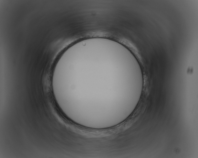 X0000096700012200802121213